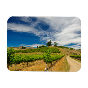 Magnet Flexible États-Unis, Washington, lac Chelan. Vignoble 3