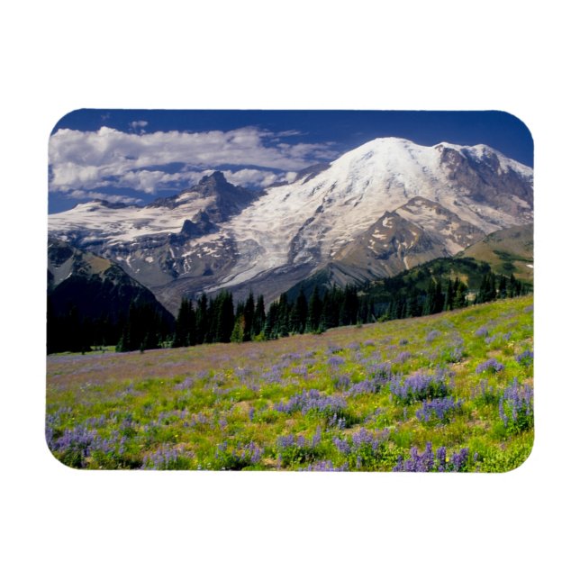 Magnet Flexible États-Unis, Washington, Parc national du Mont Rain (Horizontal)
