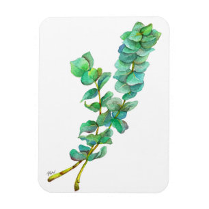 Magnet Flexible Eucalyptus 01