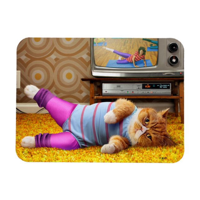 Magnet Flexible Exercice Cat (Horizontal)