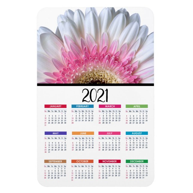 Magnet Flexible Faisée de Gerbera rose et blanc | Calendrier 2021 (Vertical)