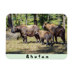 Magnet Flexible Famille de Takin, animal national du Bhoutan, Asie