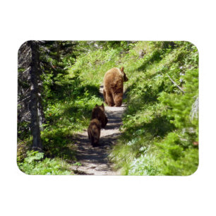 Magnet Flexible Famille d'ours brun