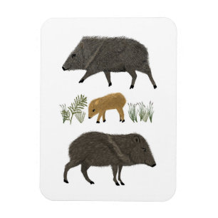 Magnet Flexible Famille Javelina Portrait Animaux du désert