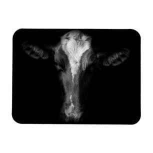 Magnet Flexible Farms B&W Cow Head Shot