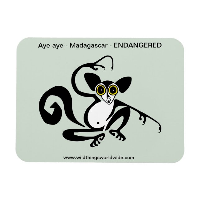 Magnet Flexible Faune étrange - AYE-AYE -Primate - Lemur - (Horizontal)