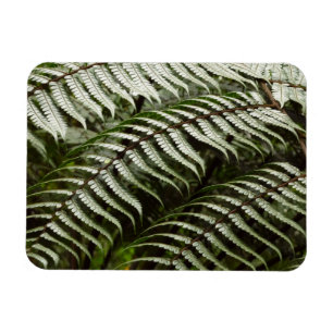 Magnet Flexible Fern Fronds II Dark Green Nature