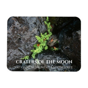 Magnet Flexible Ferne à Lava, Craters de la Lune, Idaho