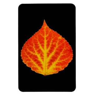 Magnet Flexible Feuille d'Aspen rouge et jaune #10