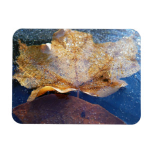 Magnet Flexible Feuille de érable jaune gelée Automne Nature