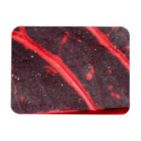 Feuille hawaïenne veinée rouge 3