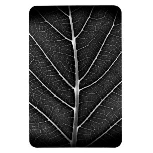 Magnet Flexible Feuille lumineuse noir et blanc en gros plan
