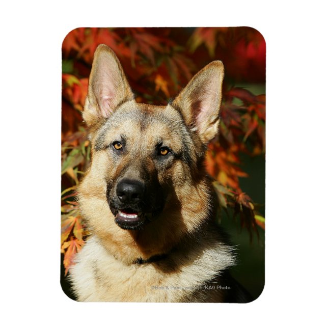 Magnet Flexible Feuilles d'automne du berger allemand (Vertical)