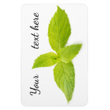 Feuilles de la monnaie