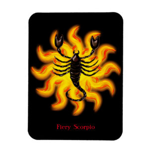 Magnet Flexible Fiery Scorpio