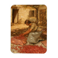 Fille Emballage Cerises en Provence (France)