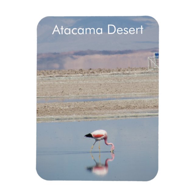 Magnet Flexible Flamant rose Atacama Désert Aimant Flexible (Vertical)