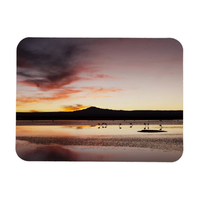 Magnet Flexible Flamant rose chilien (Horizontal)