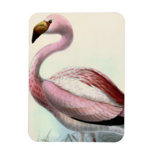 Magnet Flexible Flamant Vintage