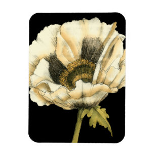 Magnet Flexible Fleur crème de pavot sur l'arrière - plan noir