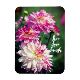 Magnet Flexible Fleur Dahlia rose et blanc Motivation