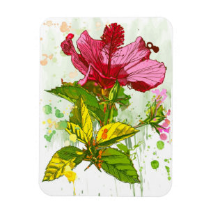 Magnet Flexible Fleur de ketmie - peinture d'aquarelle