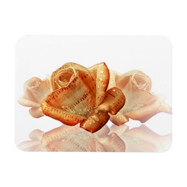 Magnet Flexible Fleur de Rose corail avec Partition (Horizontal)