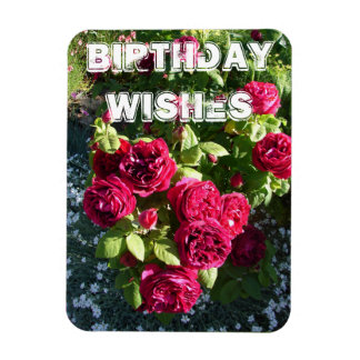 Magnet Flexible Fleur de rose rouge Jardin fleuri Joyeux anniversa