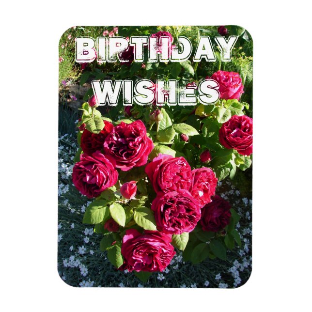 Magnet Flexible Fleur de rose rouge Jardin fleuri Joyeux anniversa (Vertical)