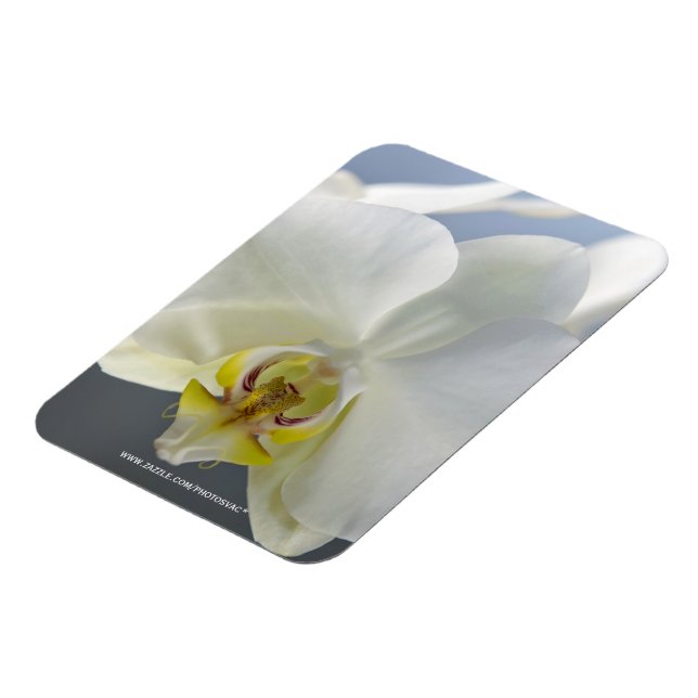 Magnet Flexible Fleur d'orchidée blanche (Côté Gauche)