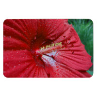 Fleur Hibiscus Rouge Avec Raindrops Photo