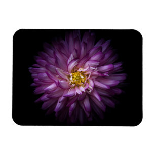 Magnet Flexible Fleurs 20