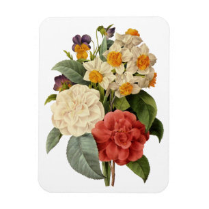 Magnet Flexible Fleurs anciennes, camélias et narcisses, Redoute