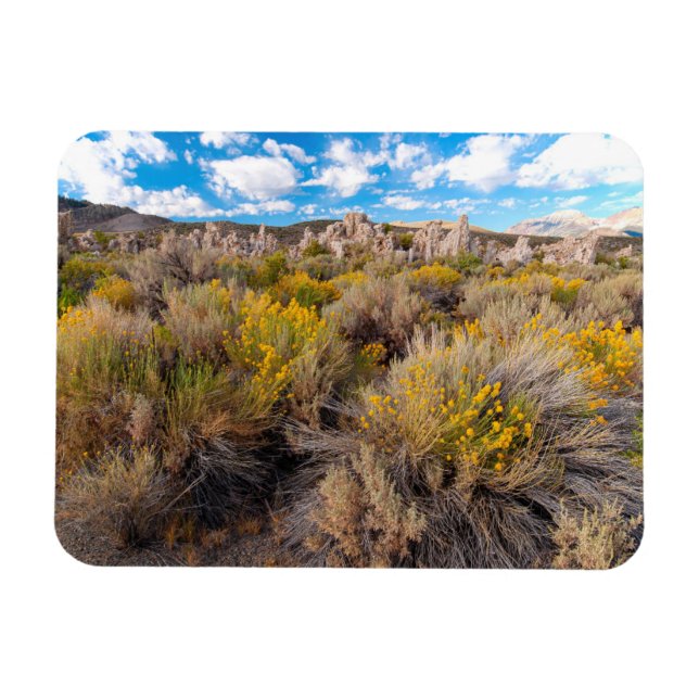 Magnet Flexible Fleurs | Blooming Sagebrush Californie (Horizontal)