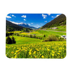 Magnet Flexible Fleurs   Canton des Grisons de Dandelion, Suisse