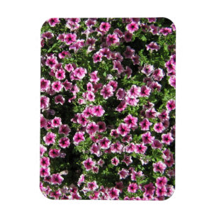 Magnet Flexible Fleurs de buisson rose Housse de jardin Phlox