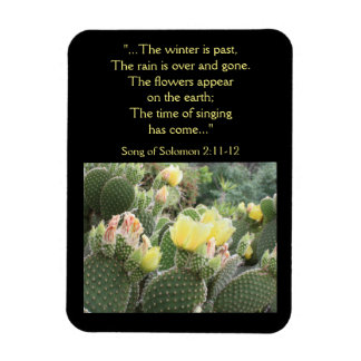 Magnet Flexible Fleurs de cactus Chanson de l'aimant Salomon