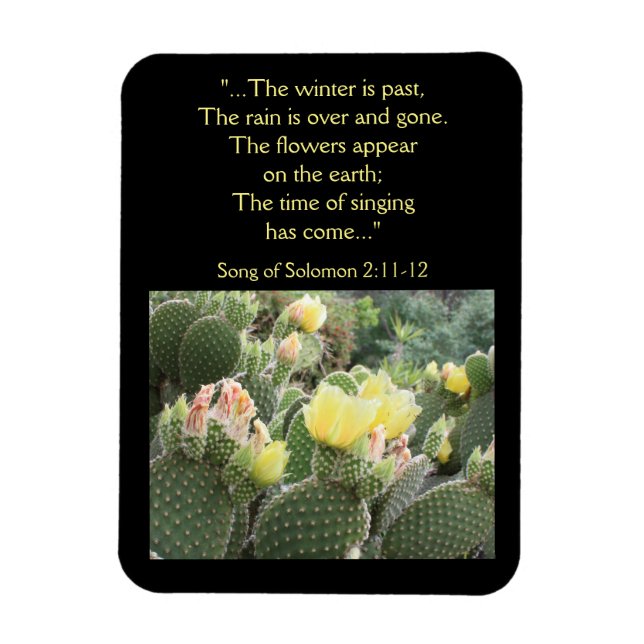 Magnet Flexible Fleurs de cactus Chanson de l'aimant Salomon (Vertical)