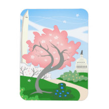 Fleurs de cerisiers à Washington DC