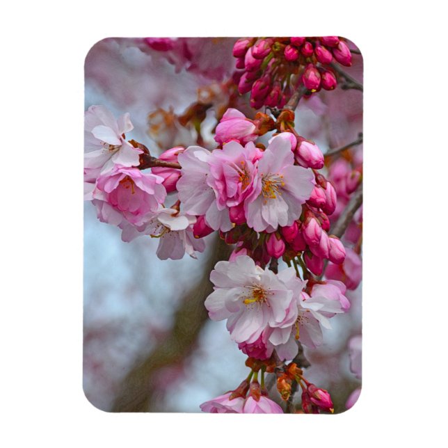 Magnet Flexible Fleurs de cerisiers roses (Vertical)