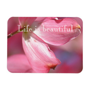 Magnet Flexible Fleurs de Dogwood Rose