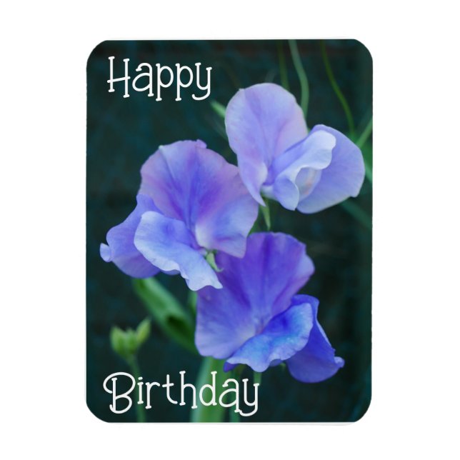 Magnet Flexible Fleurs de pois doux bleu Aimant d'anniversaire (Vertical)
