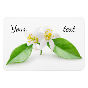 Magnet Flexible Fleurs d'oranger