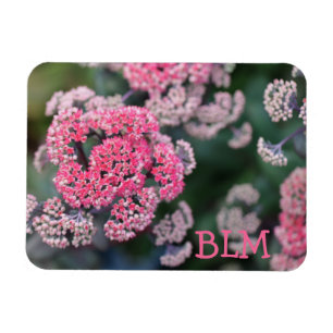 Magnet Flexible Fleurs en pierre papillon rose et blanc