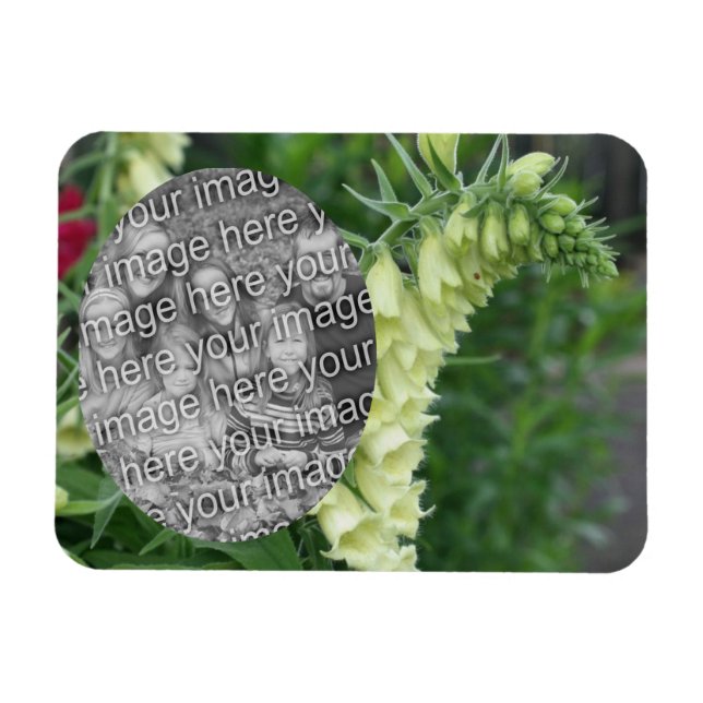 Magnet Flexible Fleurs Foxglove Blanches Crémeuses Ajoutez Votre P (Horizontal)