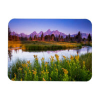 Fleurs | Grand Teton National Park, Wyoming