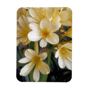 MAGNET FLEXIBLE FLEURS JAUNES