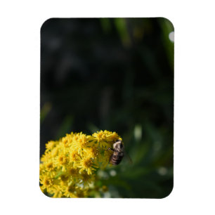 Magnet Flexible Fleurs Jaunes Bee Bumblebee Nature Photographie