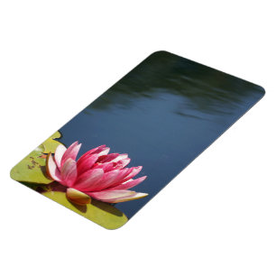 Magnet Flexible Fleurs Lilly Pond