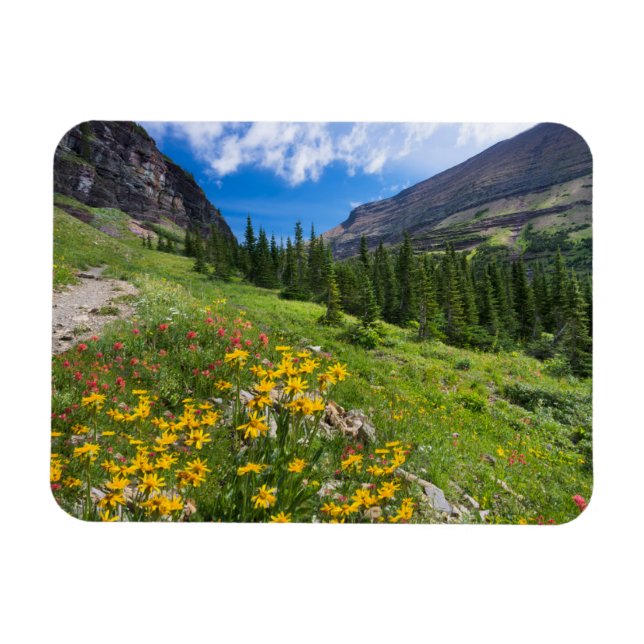 Magnet Flexible Fleurs | Montana Flower Path (Horizontal)